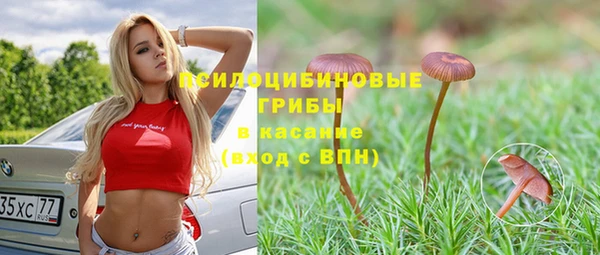 марки lsd Алексеевка