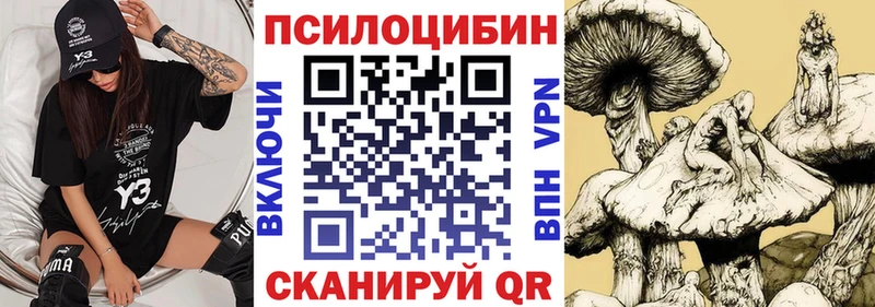 где можно купить   Ува  Галлюциногенные грибы мухоморы 